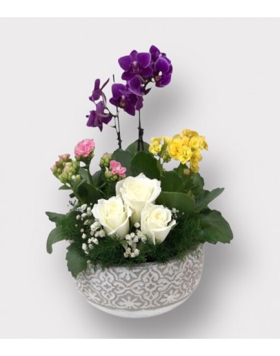 Mini Orkide Tasarımı