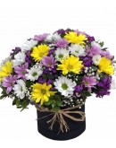 Mix Papatya Aranjmanı