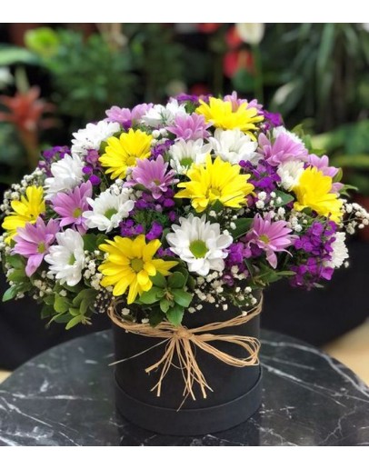 Mix Papatya Aranjmanı